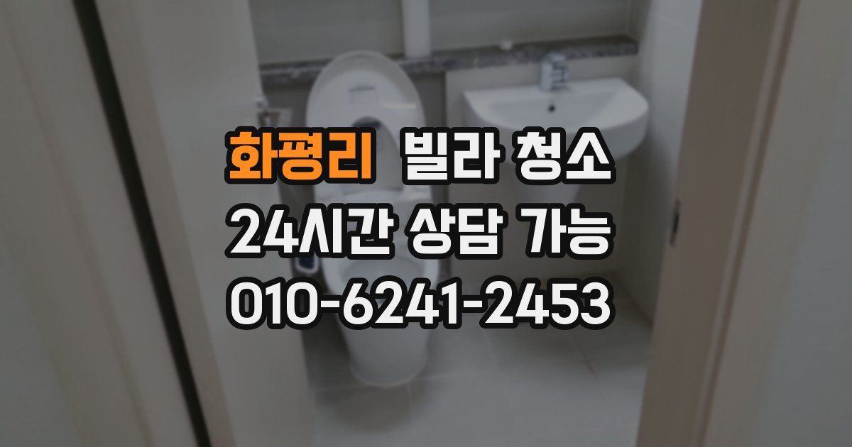 화평리 빌라 청소