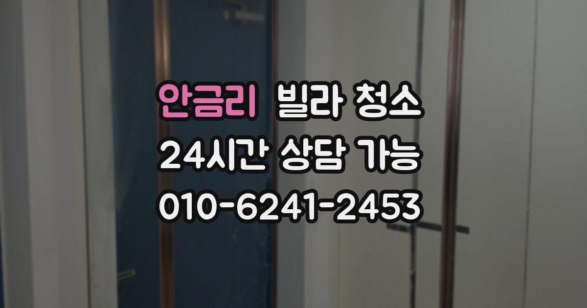 안금리 빌라 청소