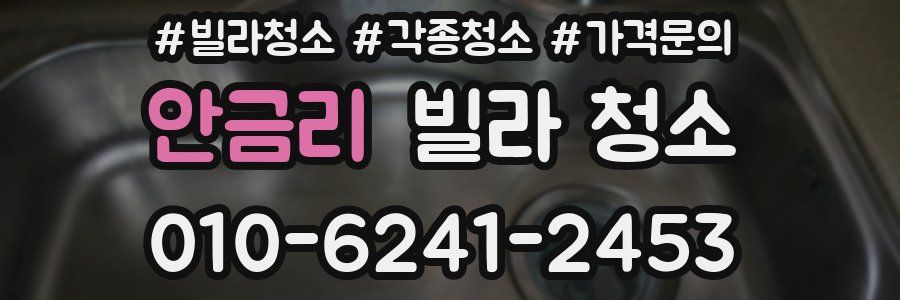 안금리 빌라 청소
