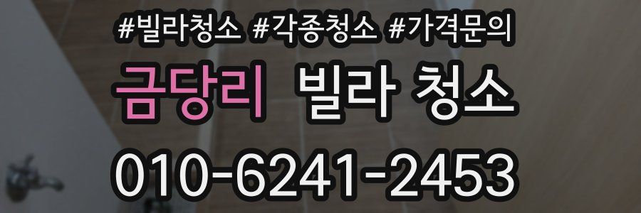 금당리 빌라 청소