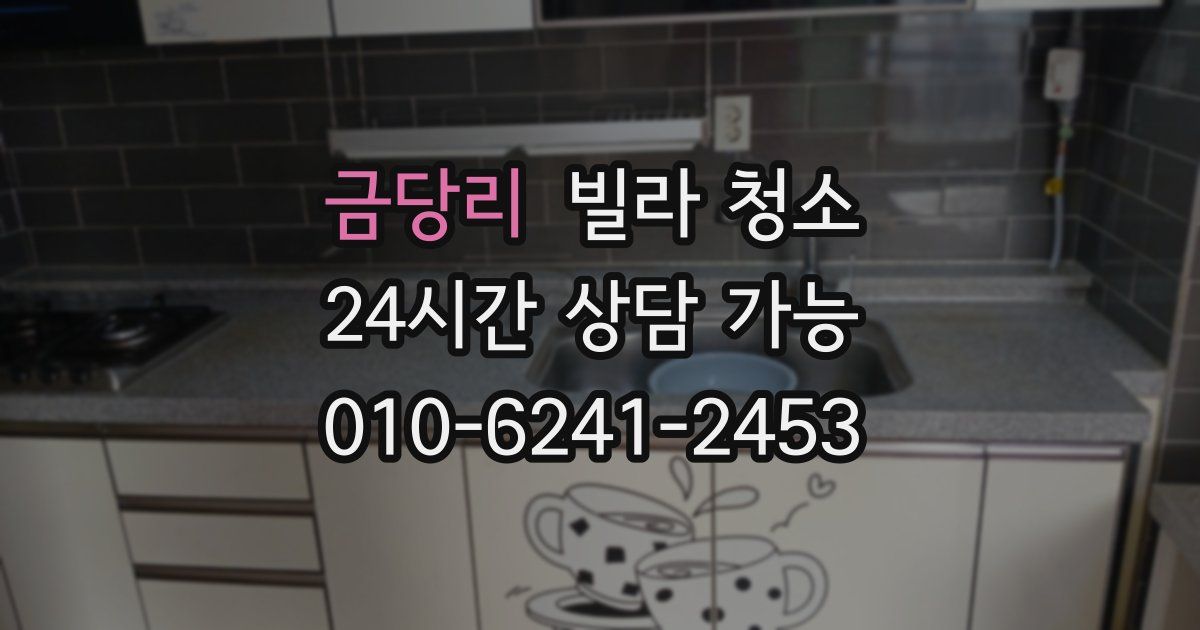 금당리 빌라 청소