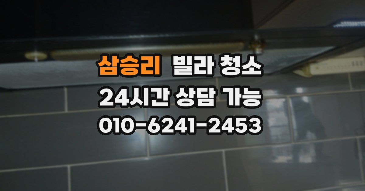 삼승리 빌라 청소