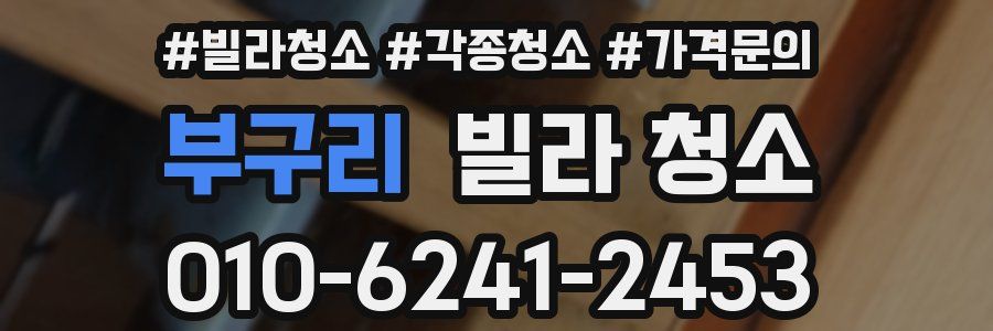 부구리 빌라 청소