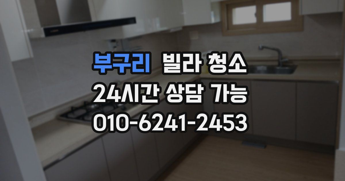 부구리 빌라 청소