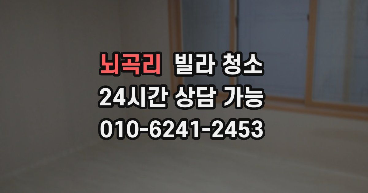 뇌곡리 빌라 청소