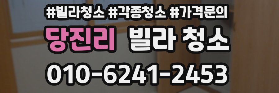 당진리 빌라 청소