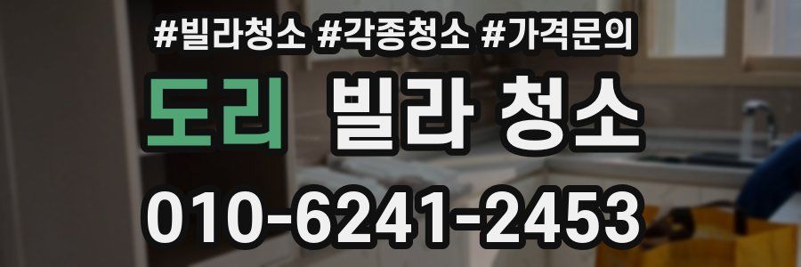 도리 빌라 청소