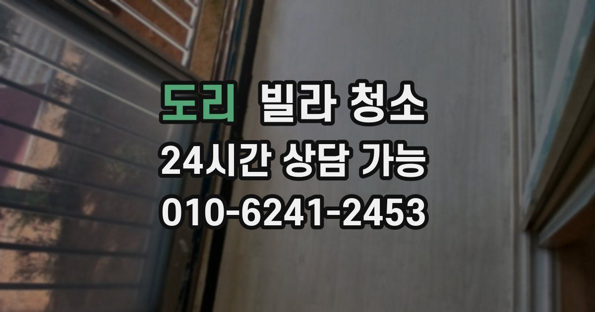 도리 빌라 청소