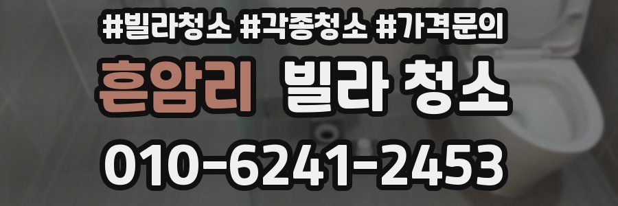 흔암리 빌라 청소