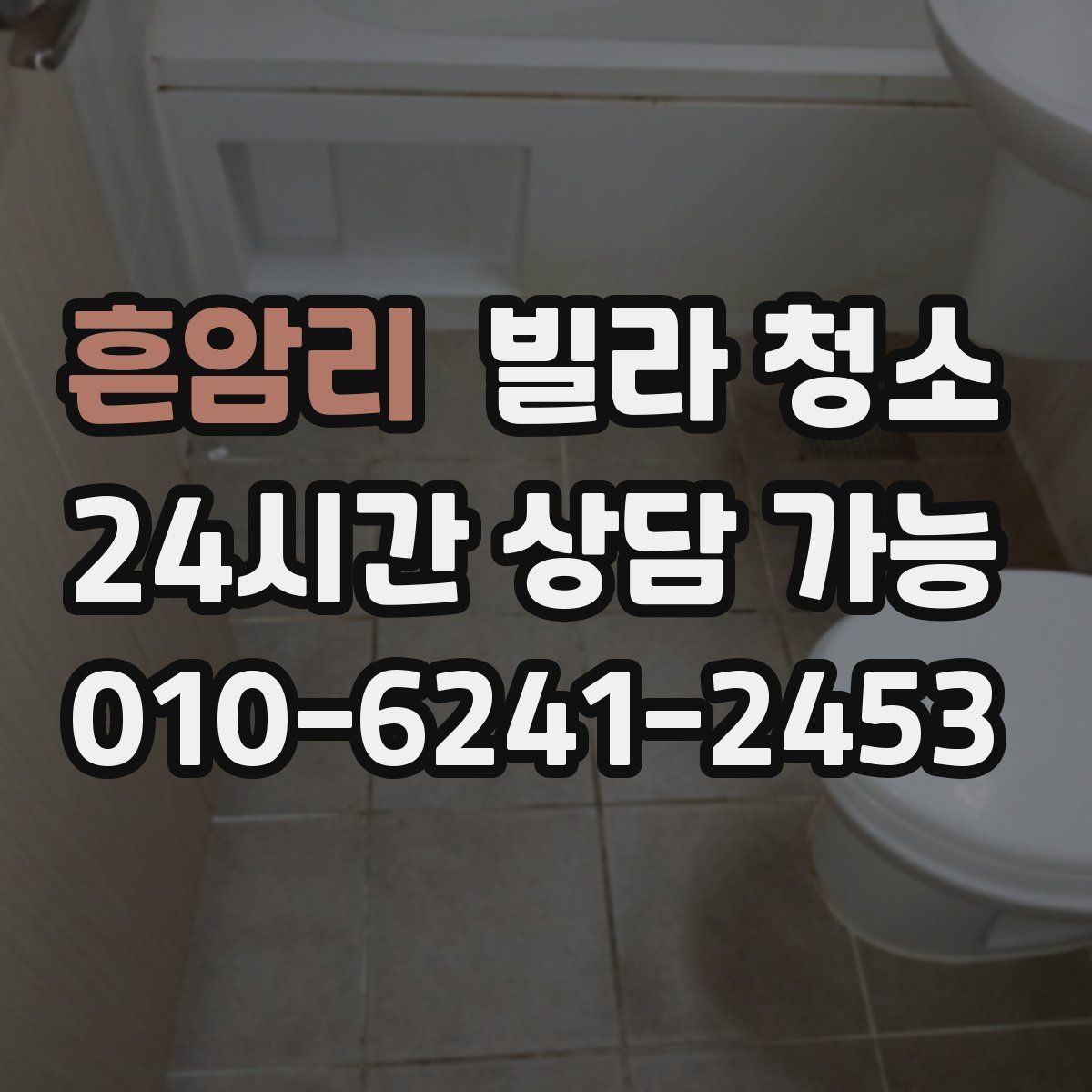 흔암리 빌라 청소