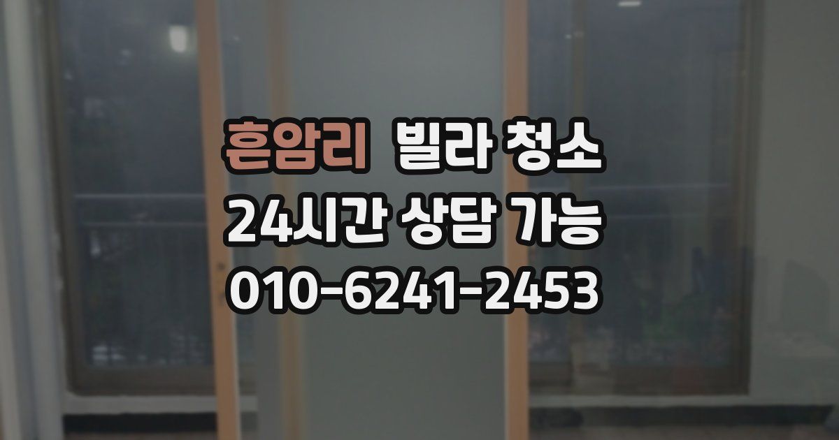 흔암리 빌라 청소