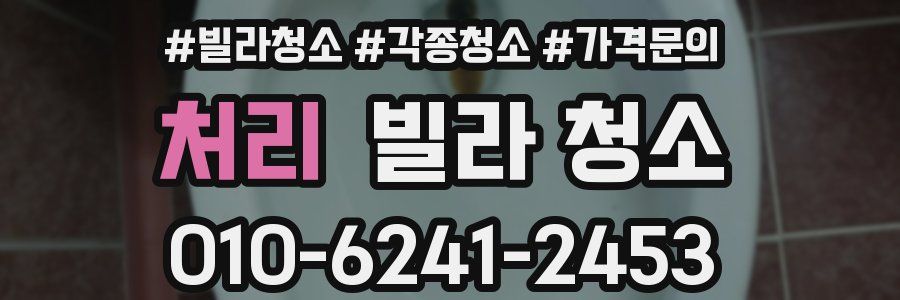 처리 빌라 청소