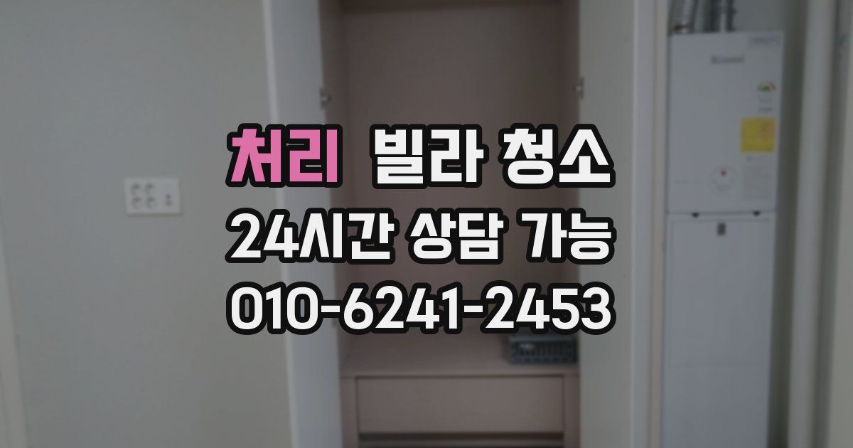 처리 빌라 청소