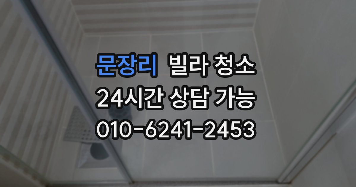 문장리 빌라 청소