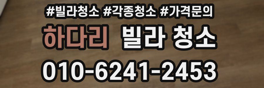 하다리 빌라 청소