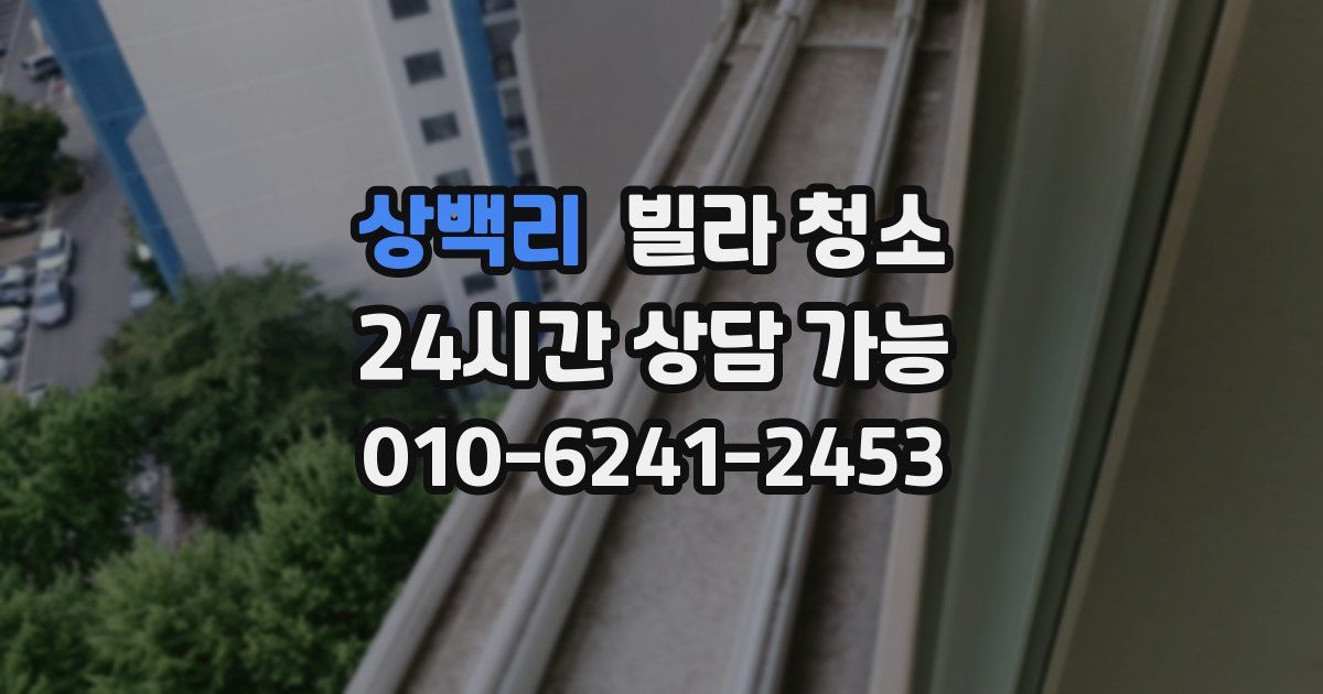 상백리 빌라 청소