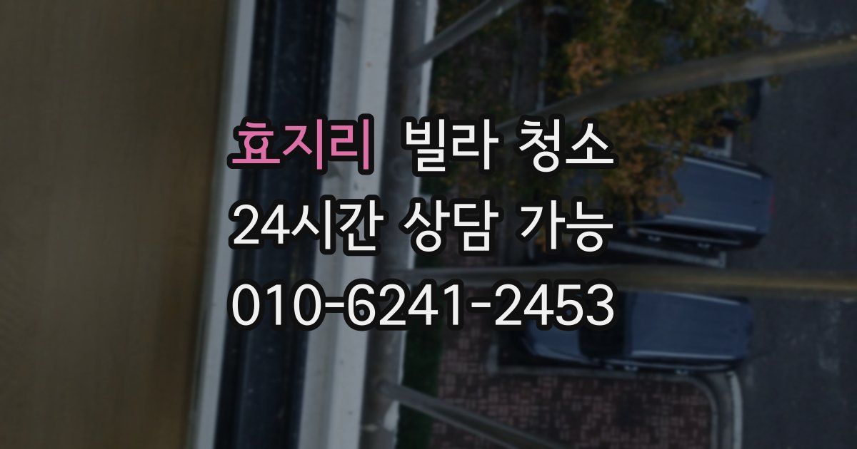 효지리 빌라 청소