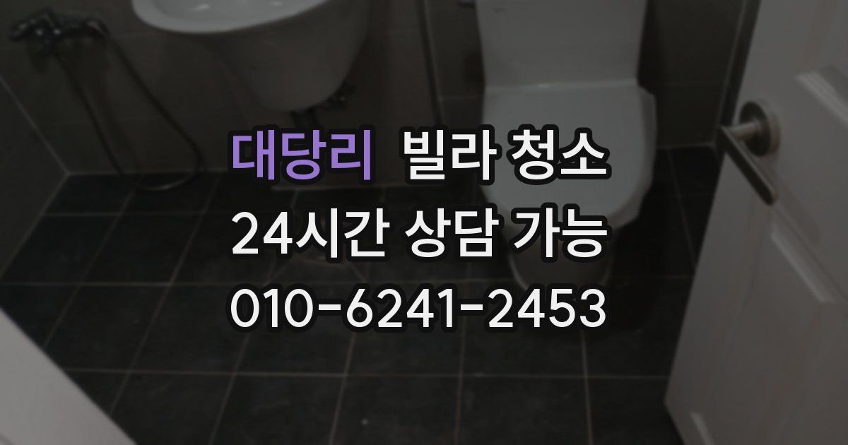 대당리 빌라 청소