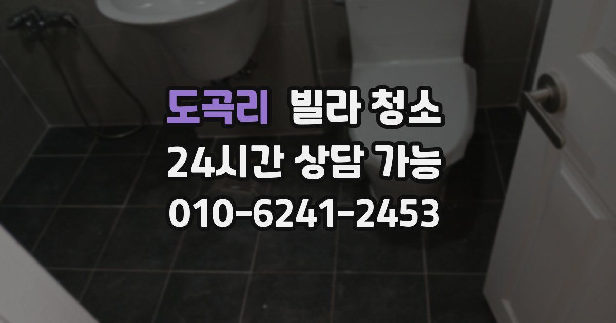 도곡리 빌라 청소