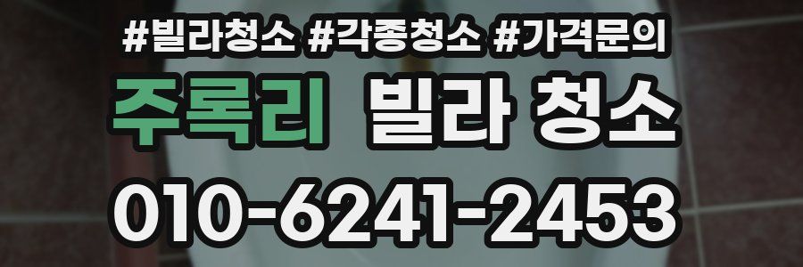 주록리 빌라 청소