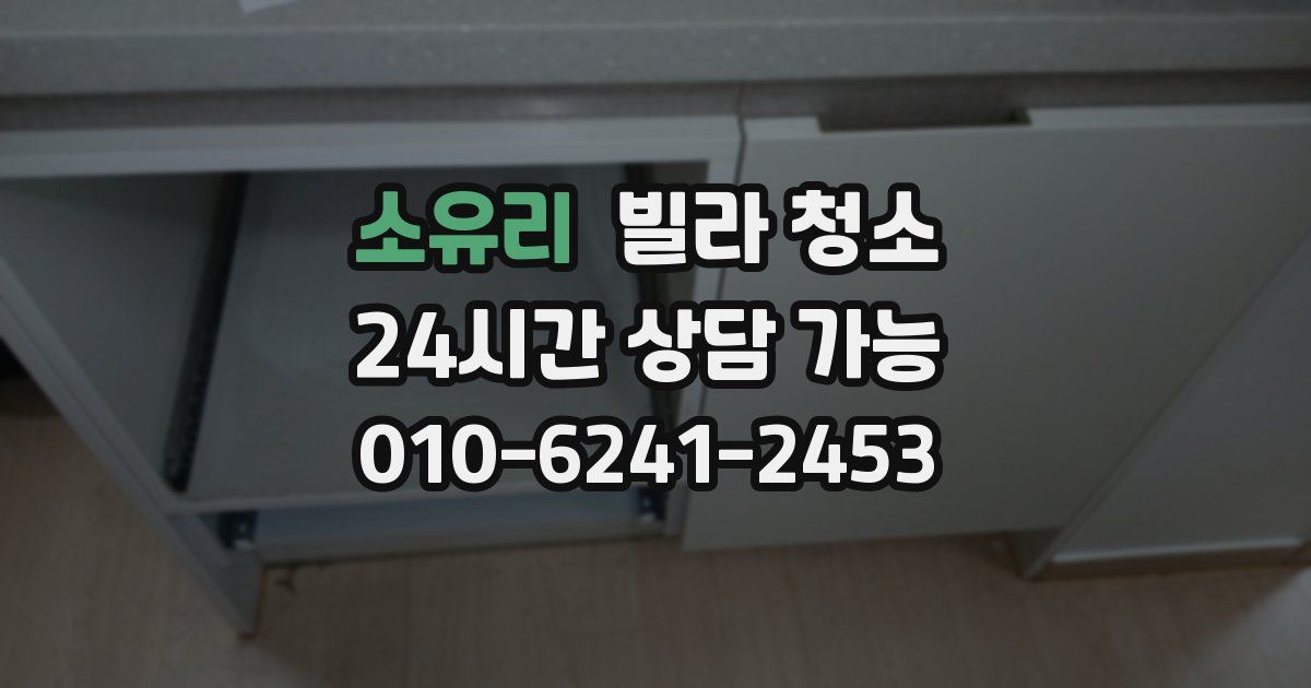 소유리 빌라 청소