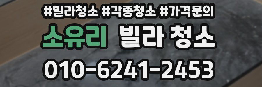 소유리 빌라 청소