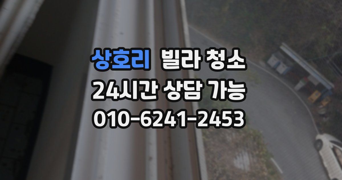 상호리 빌라 청소