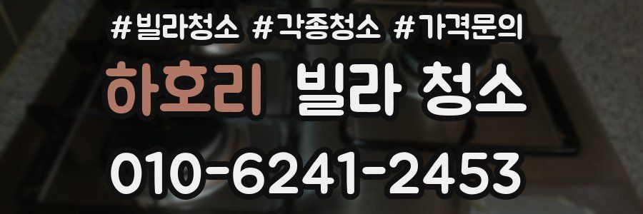 하호리 빌라 청소