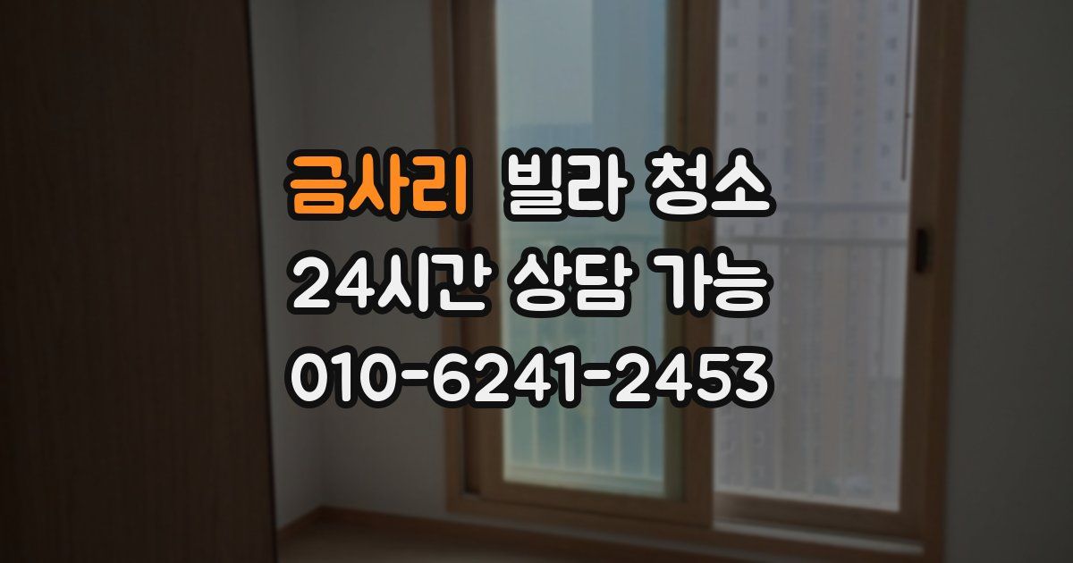 금사리 빌라 청소