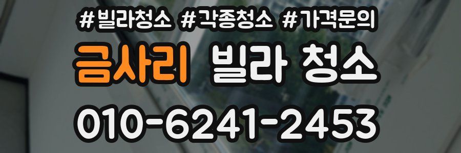 금사리 빌라 청소