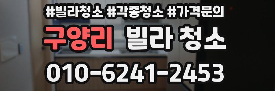 구양리 빌라 청소