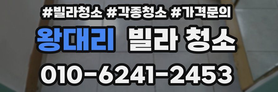 왕대리 빌라 청소