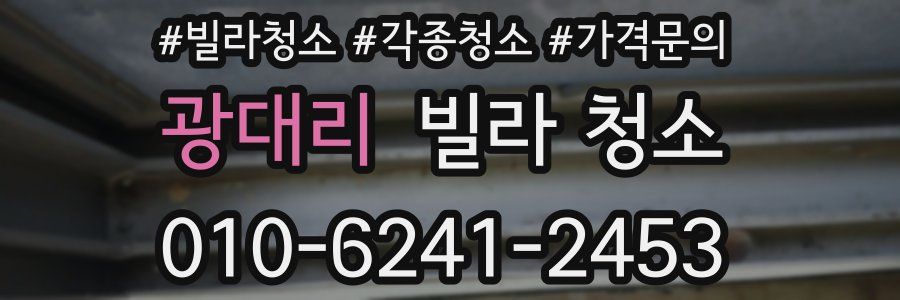 광대리 빌라 청소