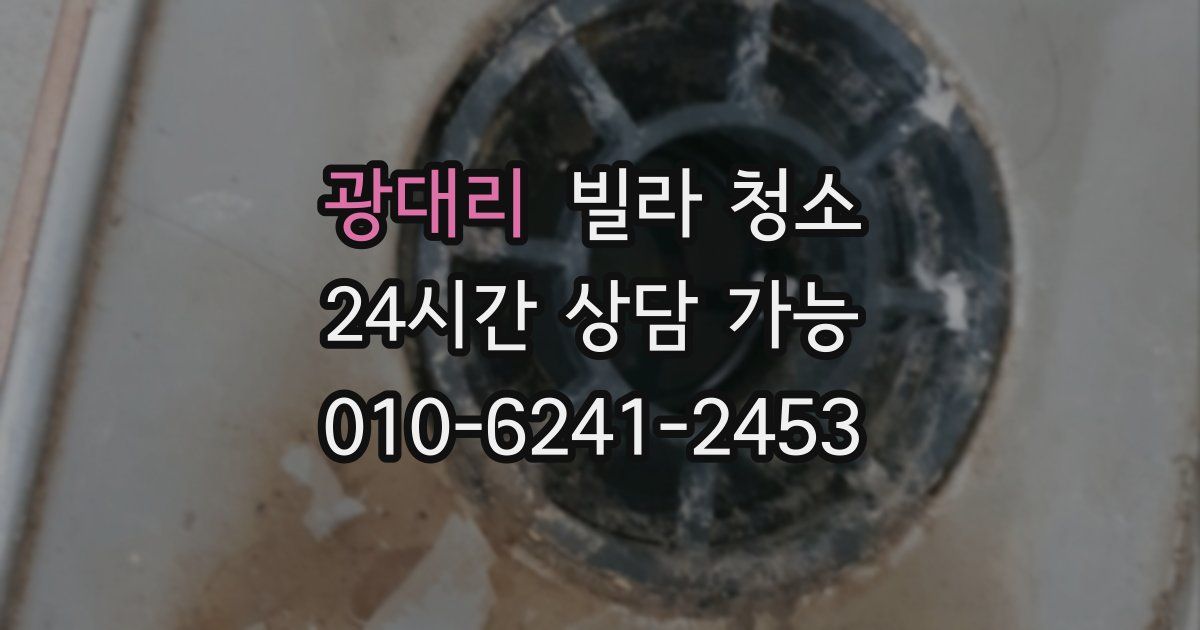 광대리 빌라 청소