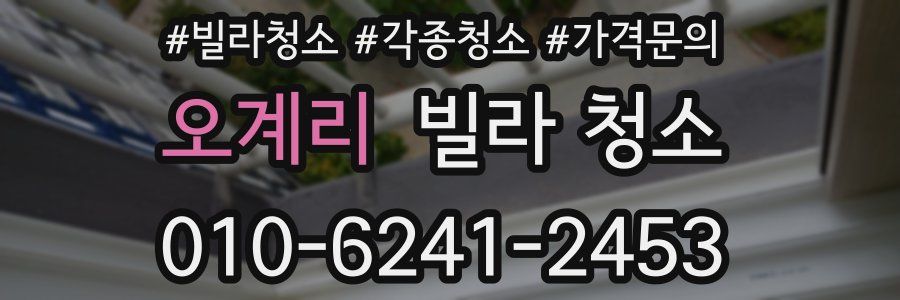 오계리 빌라 청소