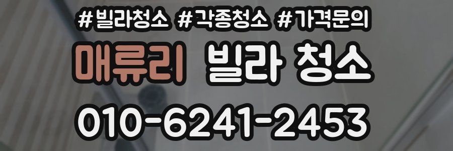 매류리 빌라 청소