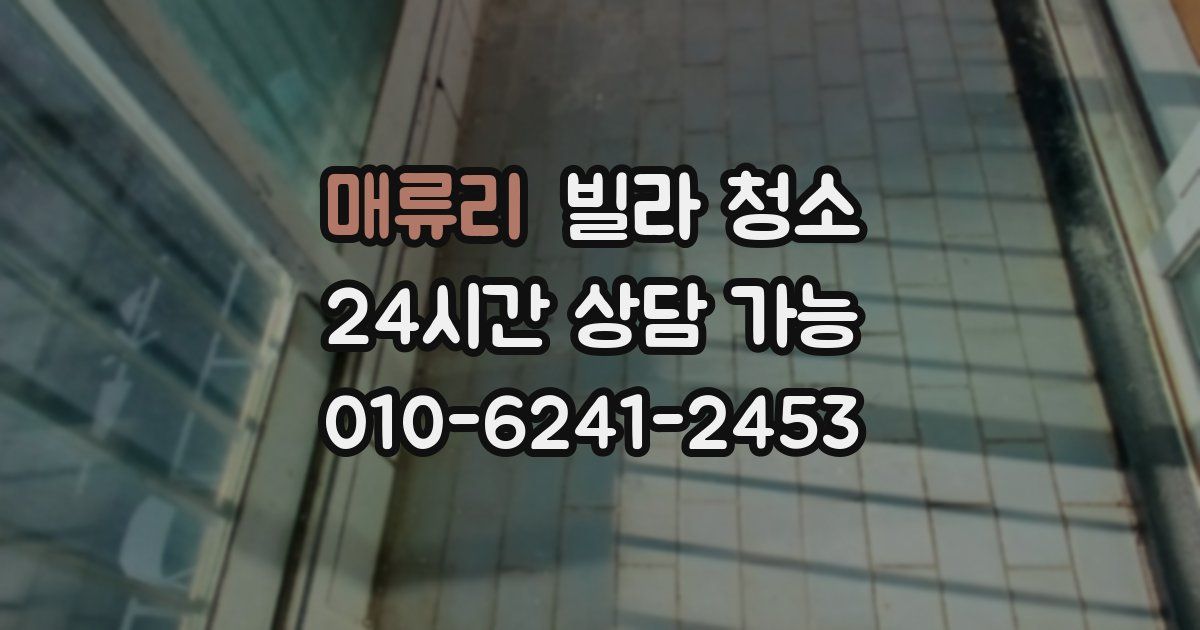매류리 빌라 청소