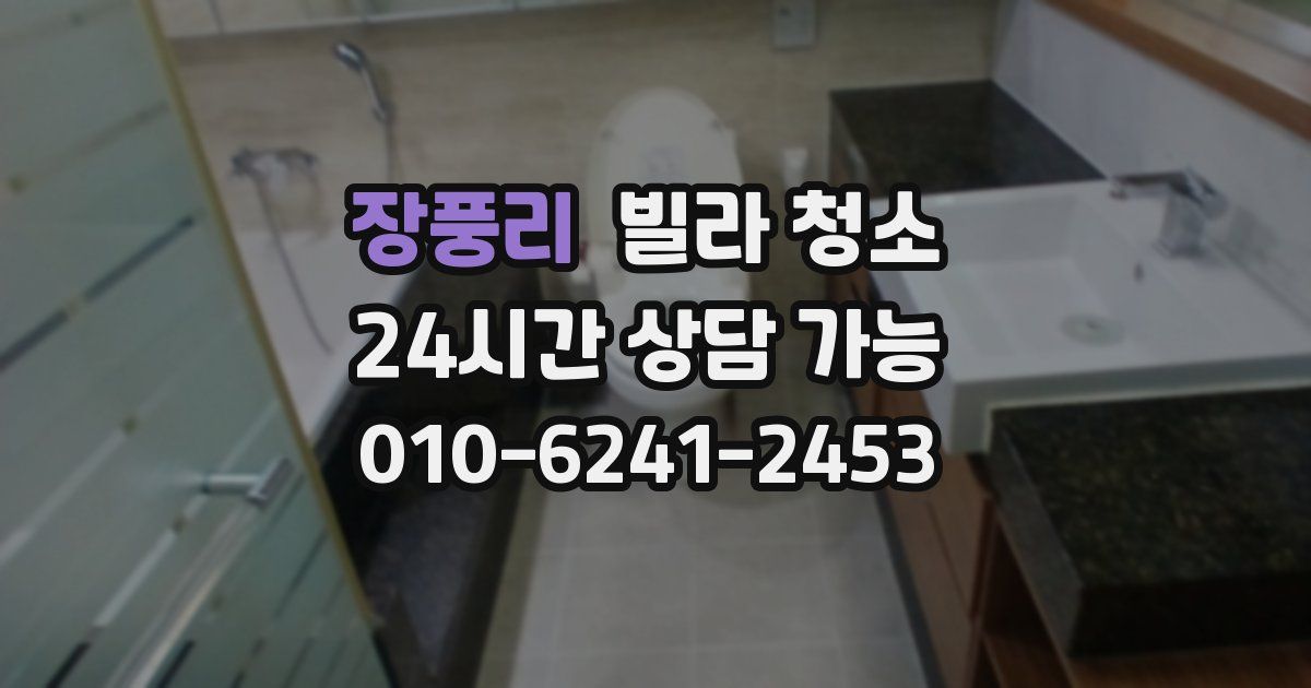 장풍리 빌라 청소