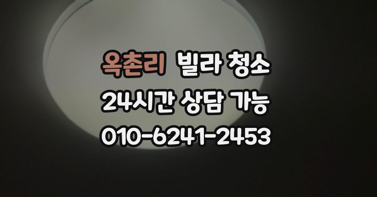 옥촌리 빌라 청소