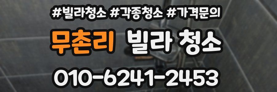 무촌리 빌라 청소