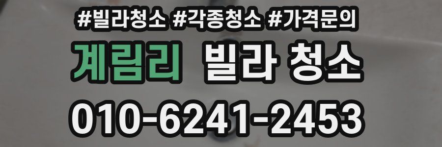 계림리 빌라 청소