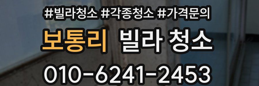 보통리 빌라 청소