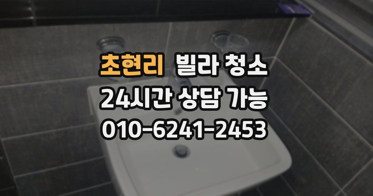 초현리 빌라 청소