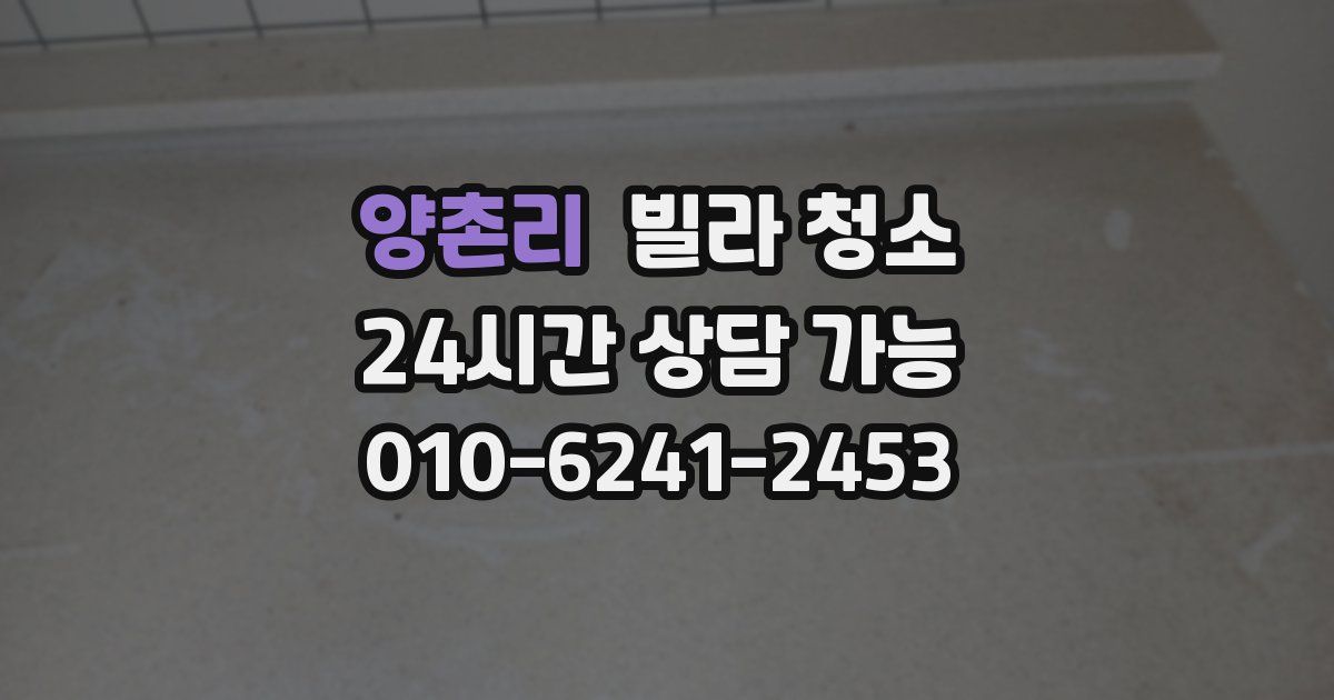 양촌리 빌라 청소