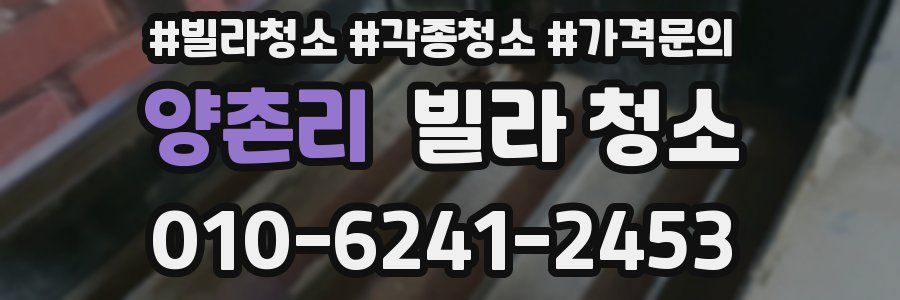 양촌리 빌라 청소