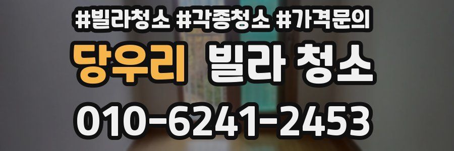 당우리 빌라 청소