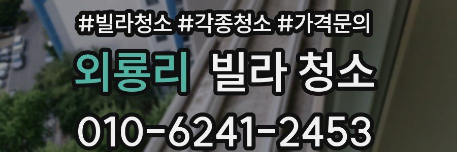 외룡리 빌라 청소