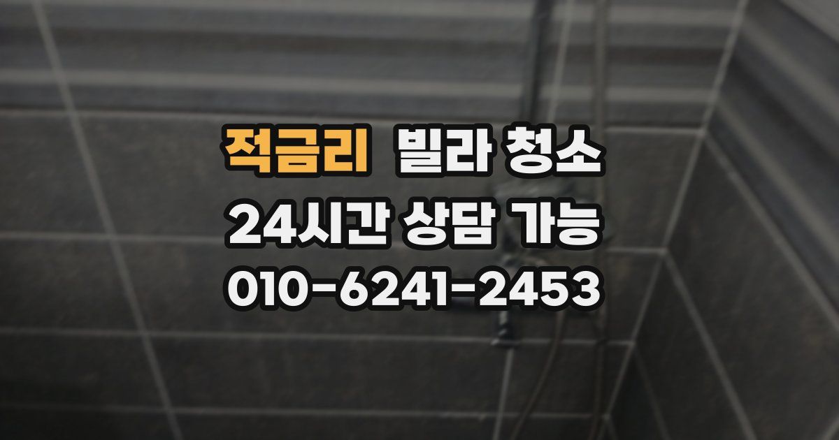 적금리 빌라 청소