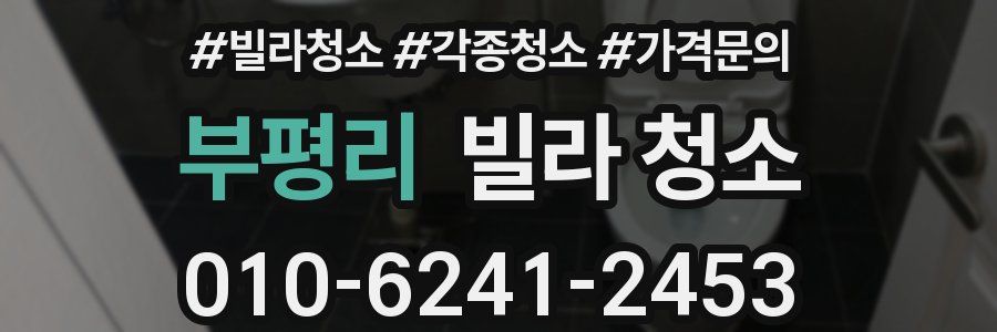 부평리 빌라 청소