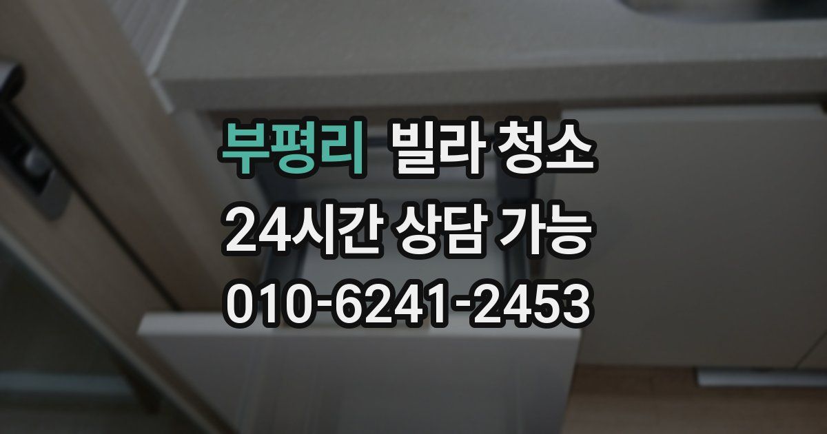 부평리 빌라 청소